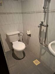 Bukit Timah Road (D21), Apartment #590810411